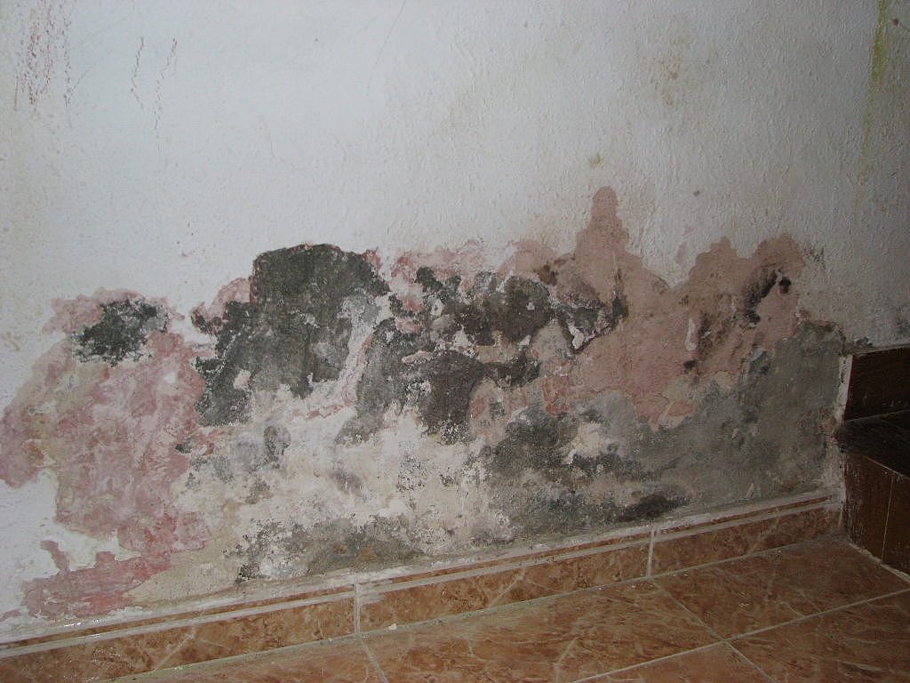 humedad paredes watertec